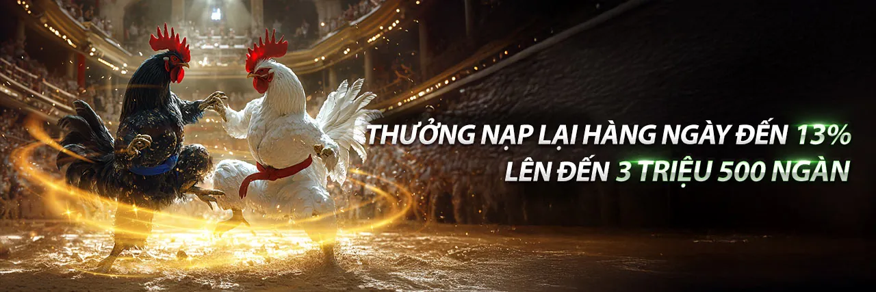 Mayclub 2026 - Cổng game cá cược uy tín hàng đầu Việt Nam